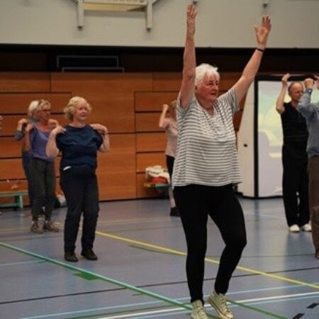 Proefles swing gym 55+