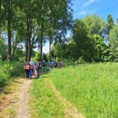 Themawandeling: in beweging blijven, ook als het leven verandert