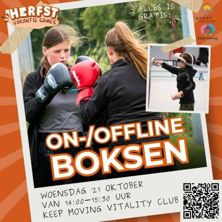 Vakantie Games: On/offline boksen